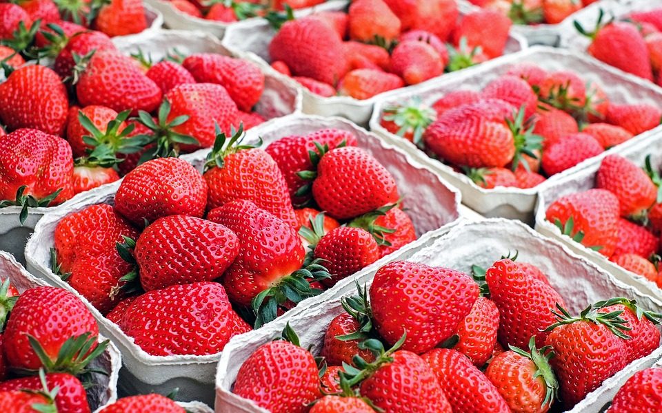 Fraises