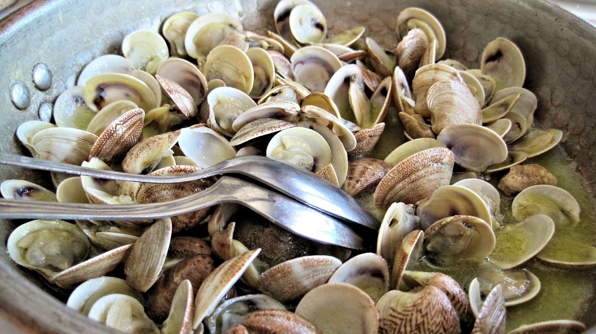 Gedämpfte Clams
